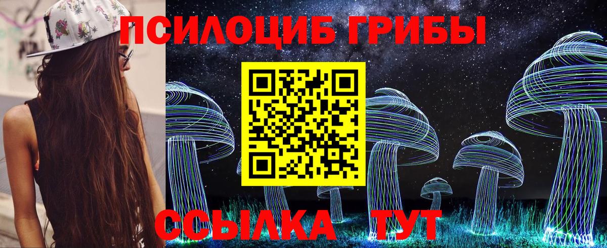 Солнечногорск  Галлюциногенные грибы Psilocybe  Вход с VPN 